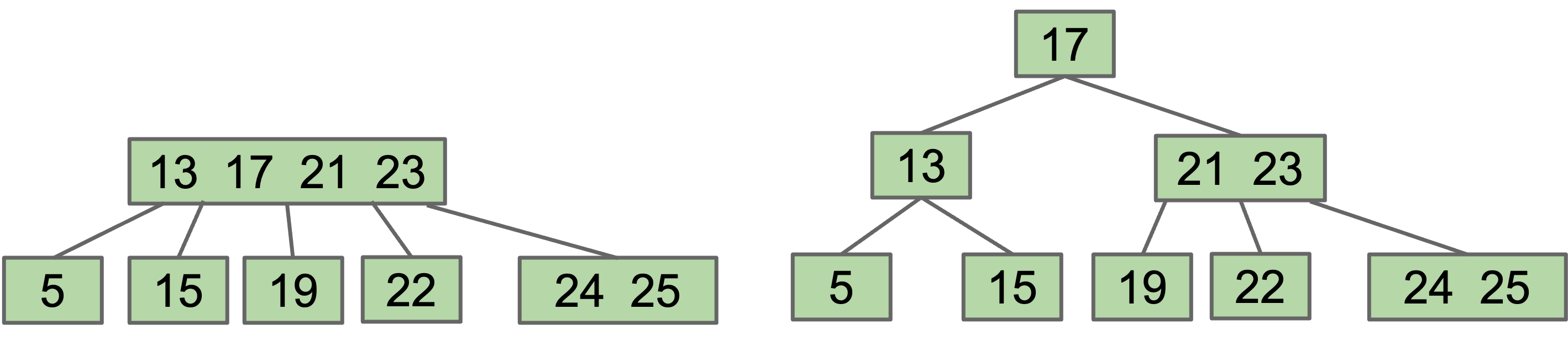 root